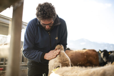 Roman Clavadetscher ist ein leidenschaftlicher Bauer, dem die Arbeit mit Tieren gefällt