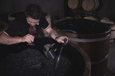 Die biodynamische Herstellung der Weine vom Weingut Obrecht in Jenins