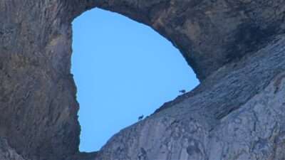 Das Martinsloch, das grösste Felstentor der Alpen mit Steinböcken